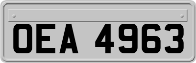 OEA4963