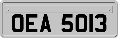 OEA5013