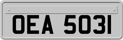 OEA5031