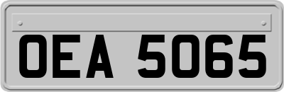 OEA5065
