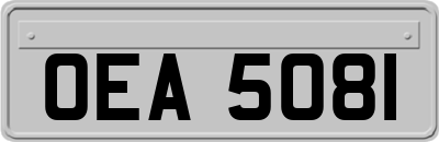 OEA5081
