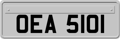 OEA5101