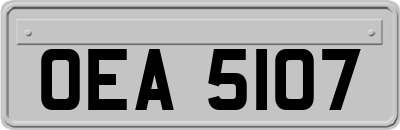 OEA5107
