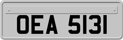 OEA5131