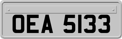 OEA5133