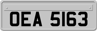OEA5163