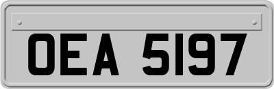 OEA5197