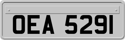 OEA5291