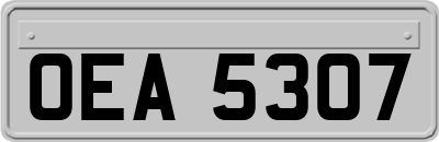 OEA5307