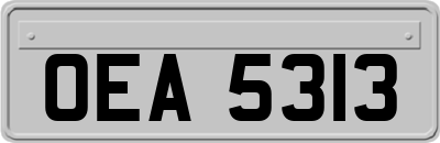 OEA5313