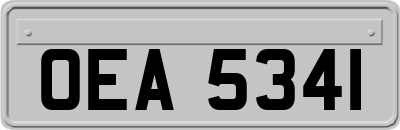 OEA5341