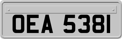 OEA5381