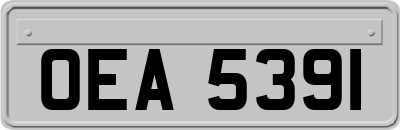 OEA5391
