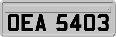 OEA5403
