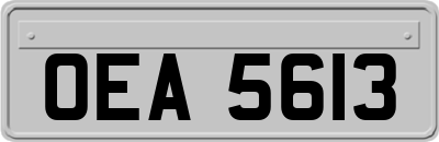 OEA5613