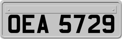 OEA5729