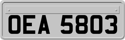 OEA5803
