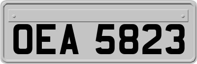 OEA5823