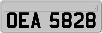 OEA5828
