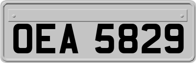 OEA5829