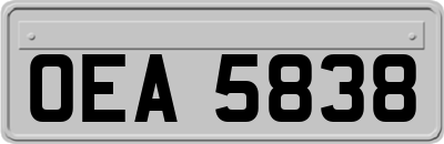 OEA5838