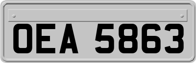 OEA5863