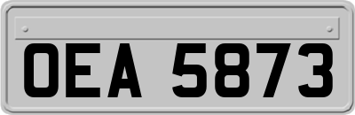 OEA5873
