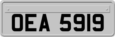 OEA5919