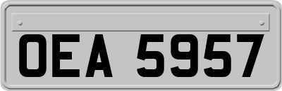 OEA5957