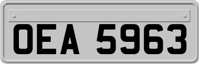 OEA5963
