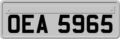 OEA5965
