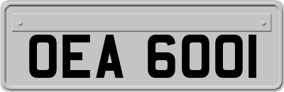 OEA6001