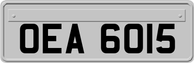 OEA6015