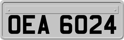 OEA6024