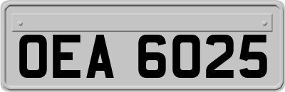 OEA6025