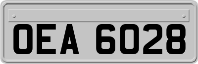 OEA6028