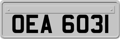 OEA6031