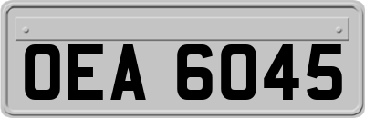 OEA6045