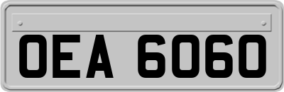 OEA6060
