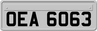 OEA6063