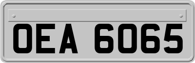OEA6065
