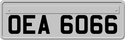 OEA6066