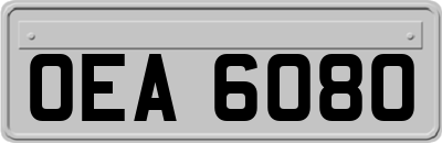 OEA6080