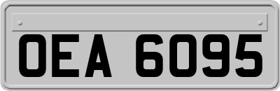 OEA6095