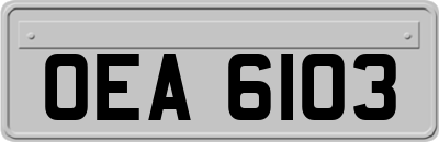 OEA6103