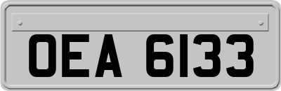 OEA6133