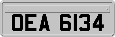 OEA6134