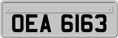 OEA6163