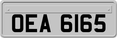 OEA6165
