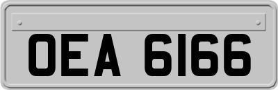 OEA6166